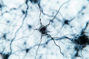 misophonia when sounds become toxic
