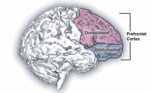 What is Stanford Accelerated Intelligent Neuromodulation Therapy